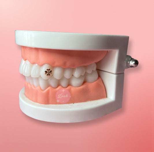 Tooth Gem 💎 Kit – LC' & Beauty LLC
